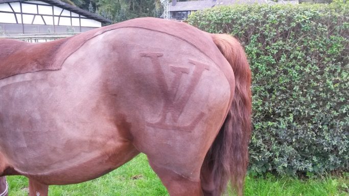 Muster - Buchstaben "VL"